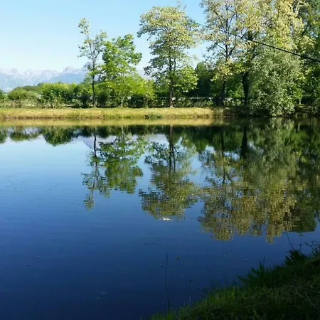 Diffuso Magredi Vivaro