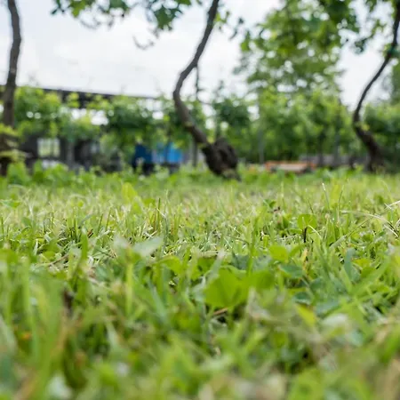 Diffuso Magredi 4* Vivaro