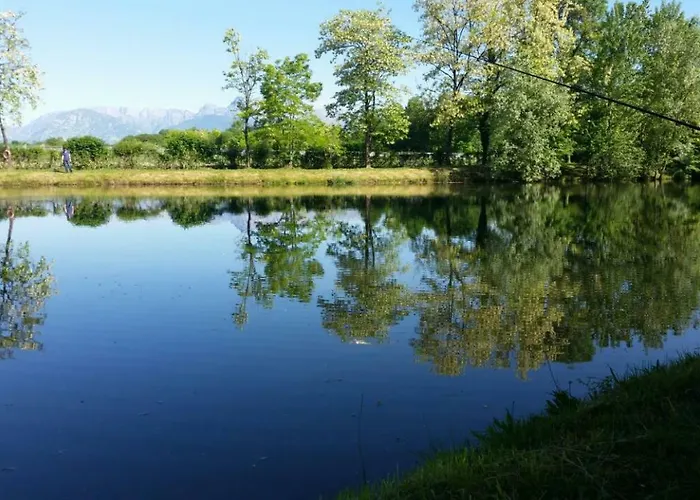 Diffuso Magredi Vivaro