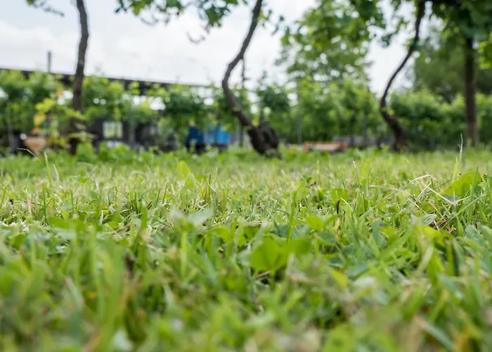 Diffuso Magredi 4* Vivaro